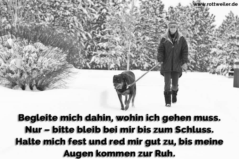 Spaziergang Rottweiler und Frau im Winter