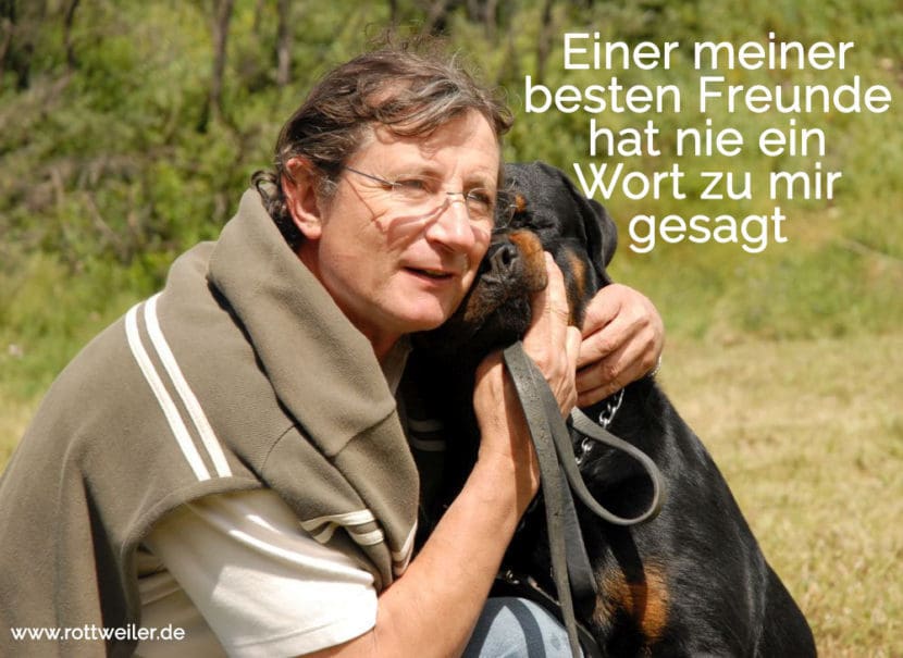 Rottweiler Zitate und Sprüche Rottweiler.de