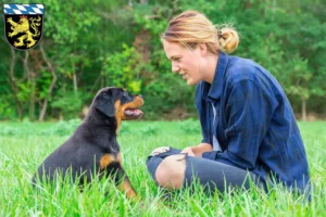 Mehr über den Artikel erfahren Rottweiler Züchter und Welpen in Oberbayern